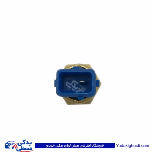 پژو مهره آب 405 تک فیش آبی ایساکو 920101099