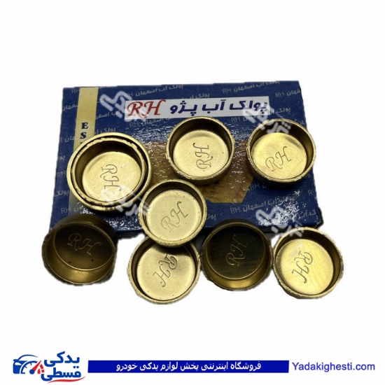 پژو پولک آب 206 تیپ 5 اصفهان 9000252800 ( عمده )
