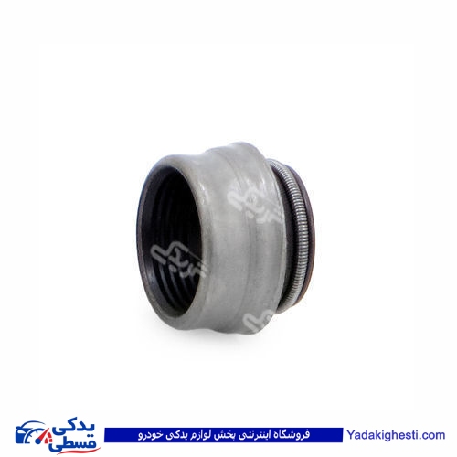 پژو لاستیک سوپاپ 405 ویژن 1707008