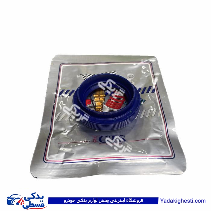 پژو کاسه نمد پلوس 206 بزرگ 9000240128  GTS
