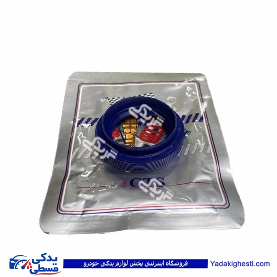 پژو کاسه نمد پلوس 206 بزرگ 9000240128  GTS