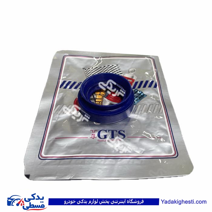 پژو کاسه نمد پلوس 206 کوچک 9000240129 GTS