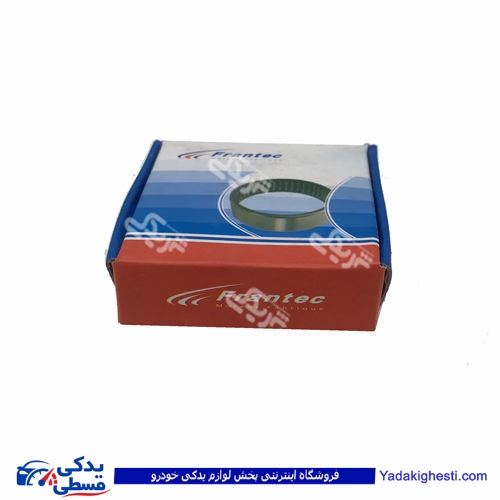 پژو بلبرینگ ژامبون 206 بزرگ داخلی فرانتک FRANTEC 423651