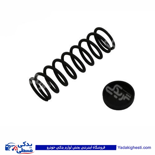 پژو فنر پلوس 206 9000803220