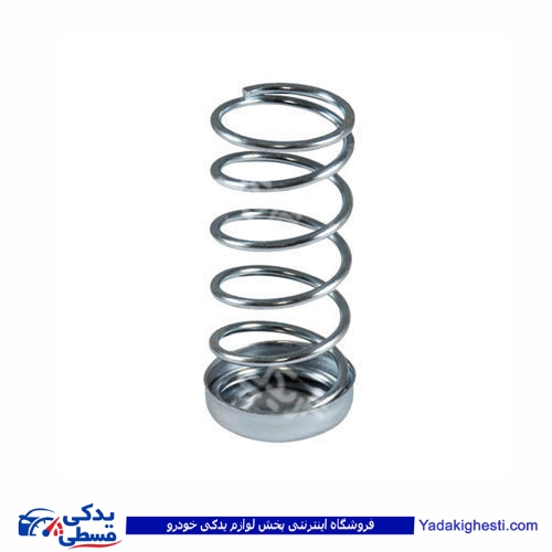 پژو فنر پلوس 405 9000803221