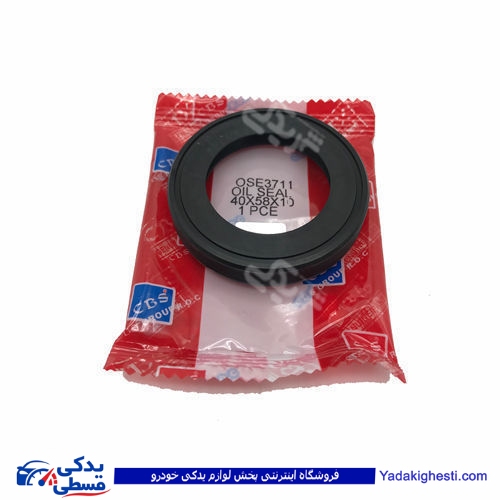 پژو کاسه نمد پلوس 405 بزرگ CBS 3711
