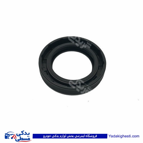 پژو کاسه نمد پلوس 405 بزرگ CBS 3711