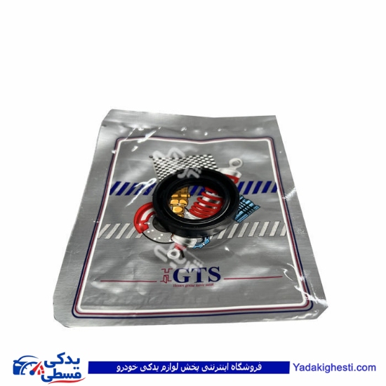پراید کاسه نمد میل سوپاپ GTS 9000240113