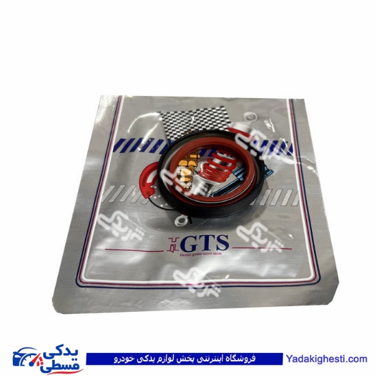 پژو کاسه نمد میل سوپاپ 405 GTS