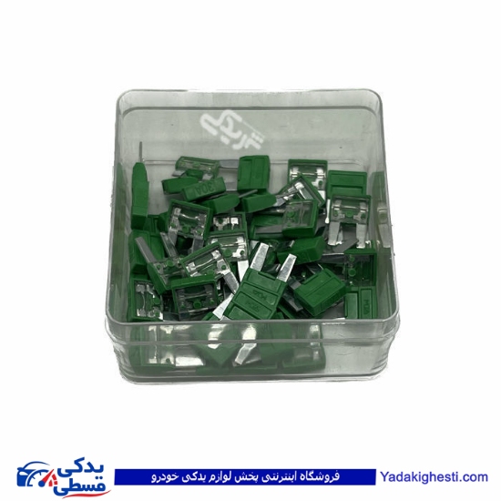 پژو فیوز دو شاخ 206 آمپر 30 9000601364