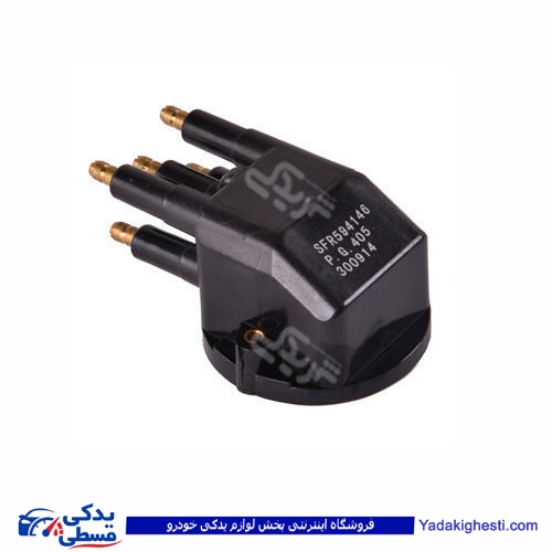 پژو درب دلکو 405 مدل 2000 9000403017