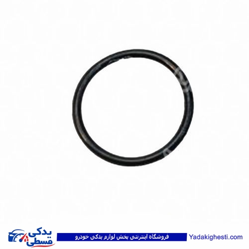 پراید اورینگ دلکو کاربرات  9000570030 ( عمده )