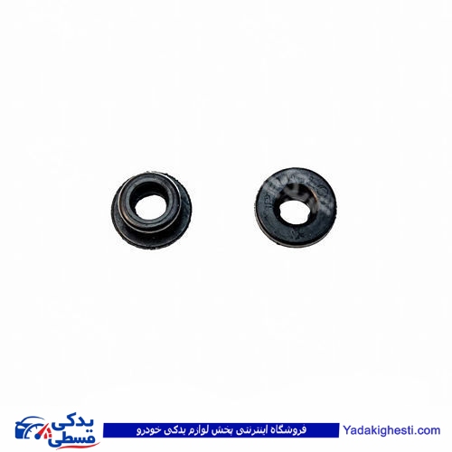 پراید لاستیک چپقی درب سوپاپ 9000570390