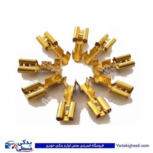 فیش مادگی ریز (کتابی) پیکان 9000601077