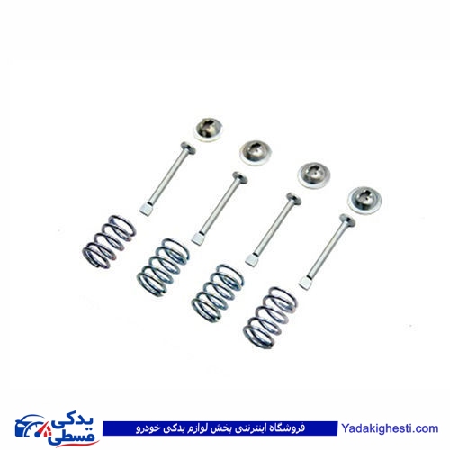 میخ و پولک فنر کفشک لنت عقب پیکان 9000203074