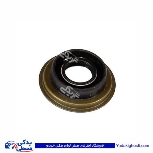 پژو کاسه نمد ماهک دنده 405 CBS 900