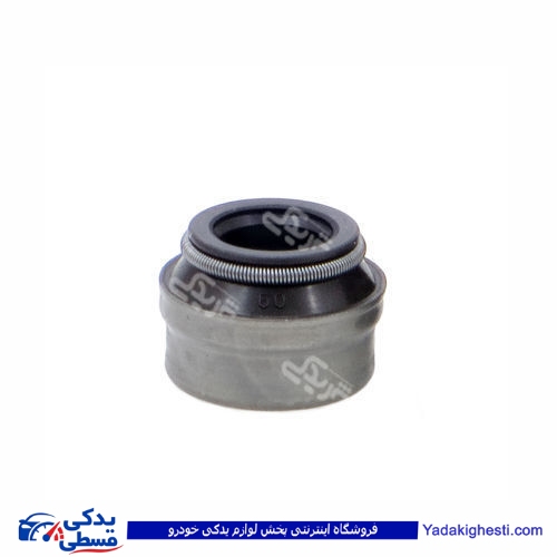 پژو لاستیک سوپاپ 405 ایساکو ژاپنی عددی ویژن 170700815