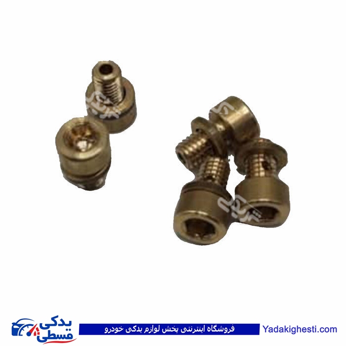 پژو پیچ آلنی هواگیری درب ترموستات برنجی 405 9000803080