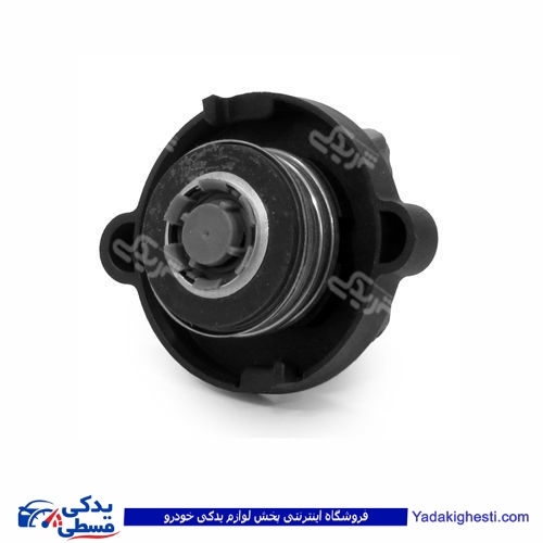 پژو درب رادیات 405 و سمند ایساکو 1700501199