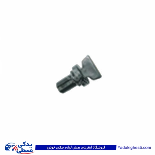 پژو پیچ تخلیه رادیاتور( شیر تخلیه ) آردی RD 9000203042