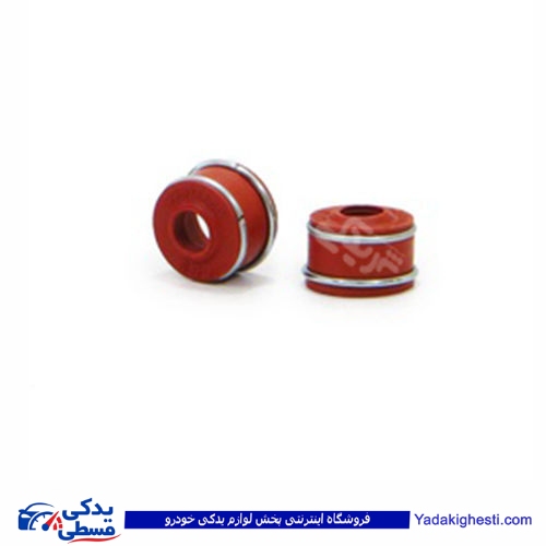 تصویر  لاستیک سوپاپ 2 فنره پیکان CBS 202cbs