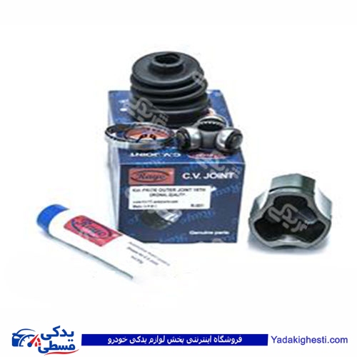 پراید مشعلی پلوس 19 خار رایو RAYO R-007