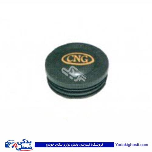 درب باک CNG فشاری پراید پژو پیکان دینا پارت 2105045