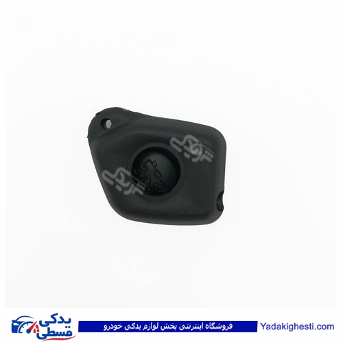 پژو قاب ریموت 405 دینا پارت 1205036