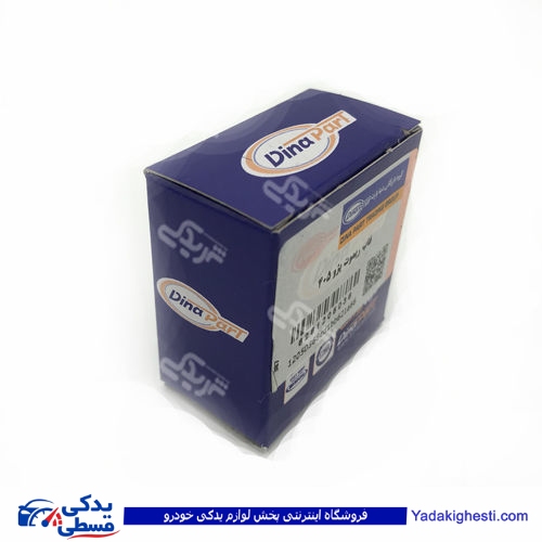 پژو قاب ریموت 405 دینا پارت 1205036