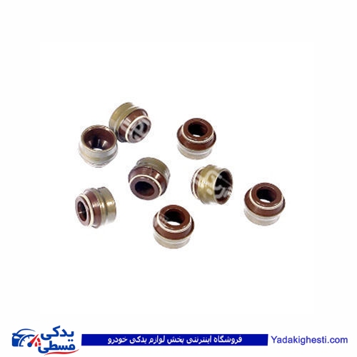 پژو لاستیک سوپاپ 405 دینا پارت ویتون VITON 1202069