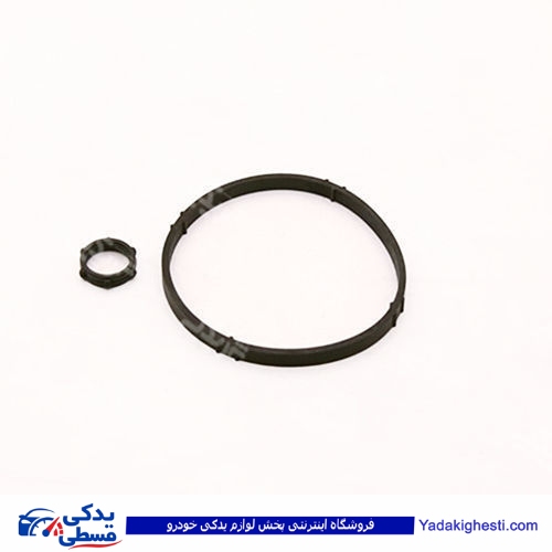 پژو اورینگ پایه فیلتر روغن 206 کامل دینا پارت 1602022