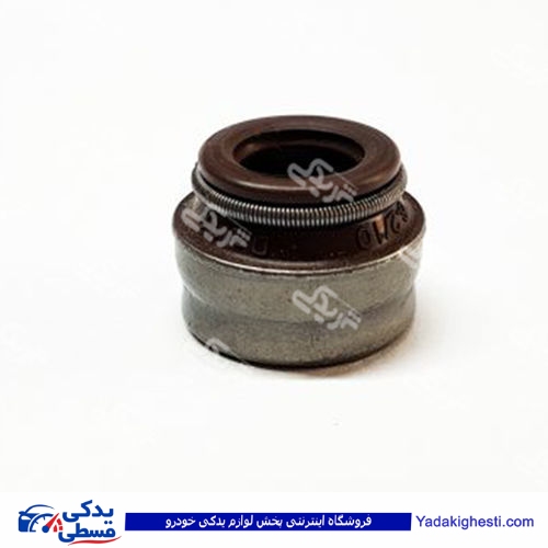 پژو لاستیک سوپاپ 206 تیپ 2اورجینال دینا پارت 1602038