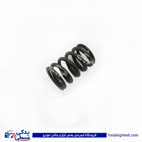 پژو فنر سوپاپ 405 دینا پارت 1202060