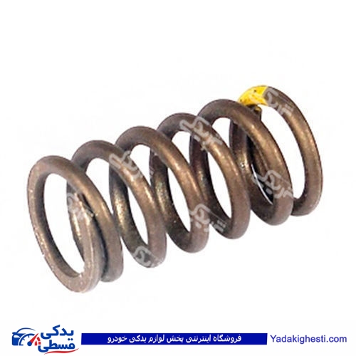 پژو فنر سوپاپ 206 T2 دینا پارت 1602039