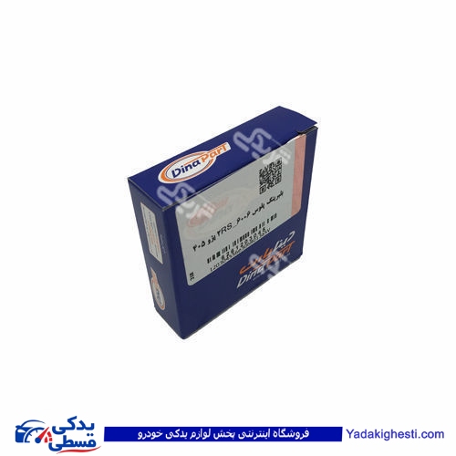 پژو بلبرینگ وسط پلوس 405 (6006) 2 RS دینا پارت 1203045
