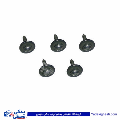 پژو پیچ شل گیر واشر دار 405 و 206 9000803067