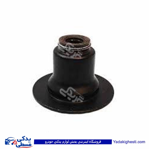 زانتیا لاستیک سوپاپ 9000986012
