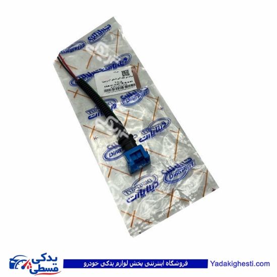 سوکت دو خانه آبی (مهره آب و بوق ) دینا پارت 1201098