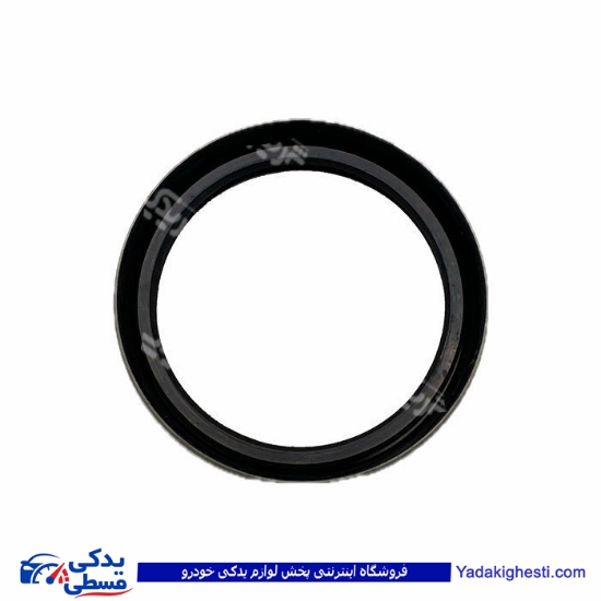 نیسان کاسه نمد چرخ جلو 9000980040 ( عمده )