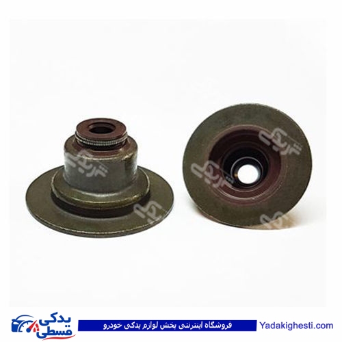 تیبا لاستیک سوپاپ دینا پارت 2502023