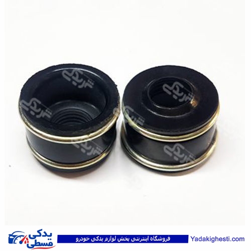 لاستیک سوپاپ 2 فنره پیکان وست مونت AMT 9000251051
