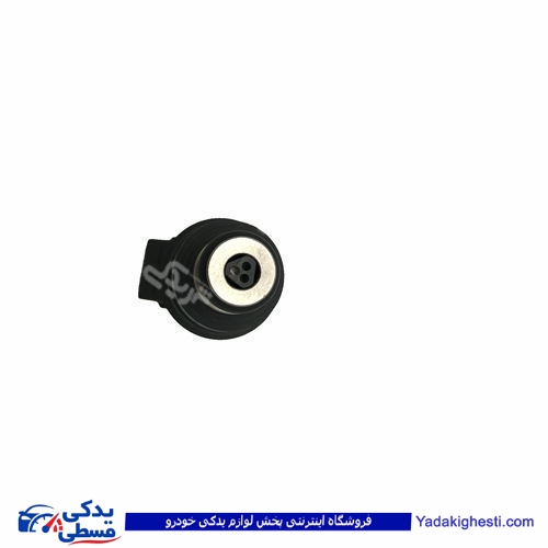 پژو سوزن انژکتور 405 تپل ساژم والئو دینا پارت 1202279