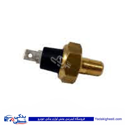 پژو مهره روغن 53 تک فیش و آردی RD سامفر 1133204