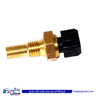 پراید مهره آب دو فیش سر مشکی زیمنس سامفر 9000890001
