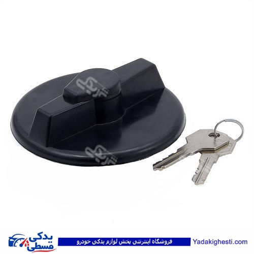 درب باک بزرگ پیکان دینا پارت 1105033