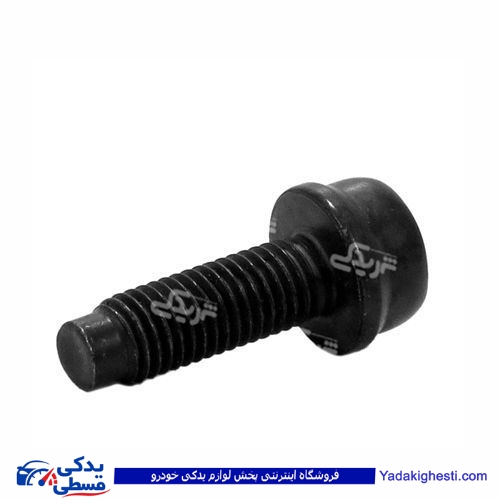 پژو پیچ دور کارتل 405 9000941008