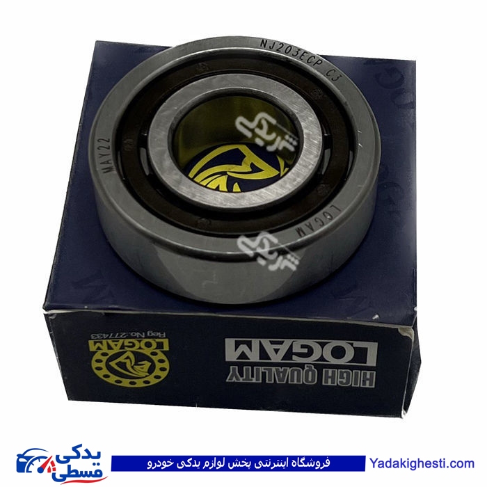 پژو رولبرینگ داخل گلدونی روآ ROA 9000892049