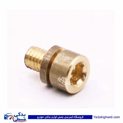 پژو پیچ هواگیری درب ترموستات آلنی 405 ایساکو 400600599