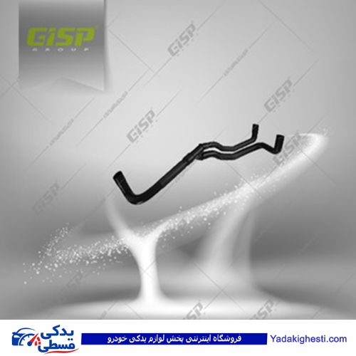 پژو شیلنگ 405 بخار روغن دوقلو GISP 478021