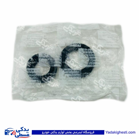 پژو کاسه نمد پلوس 405 بزرگ و کوچک اورجینال دستی 9000999061